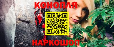 шишки Обнинск