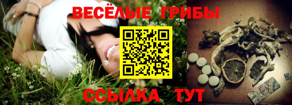 Углич  Псилоцибиновые грибы ЛСД  Псилоцибиновые грибы ЛСД  как найти закладки  Вход с VPN 